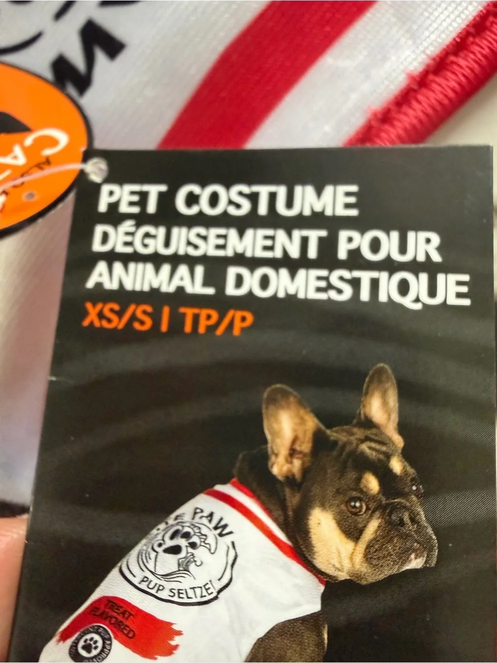 Pet costume  Red-Trim White Pet Tank Top by